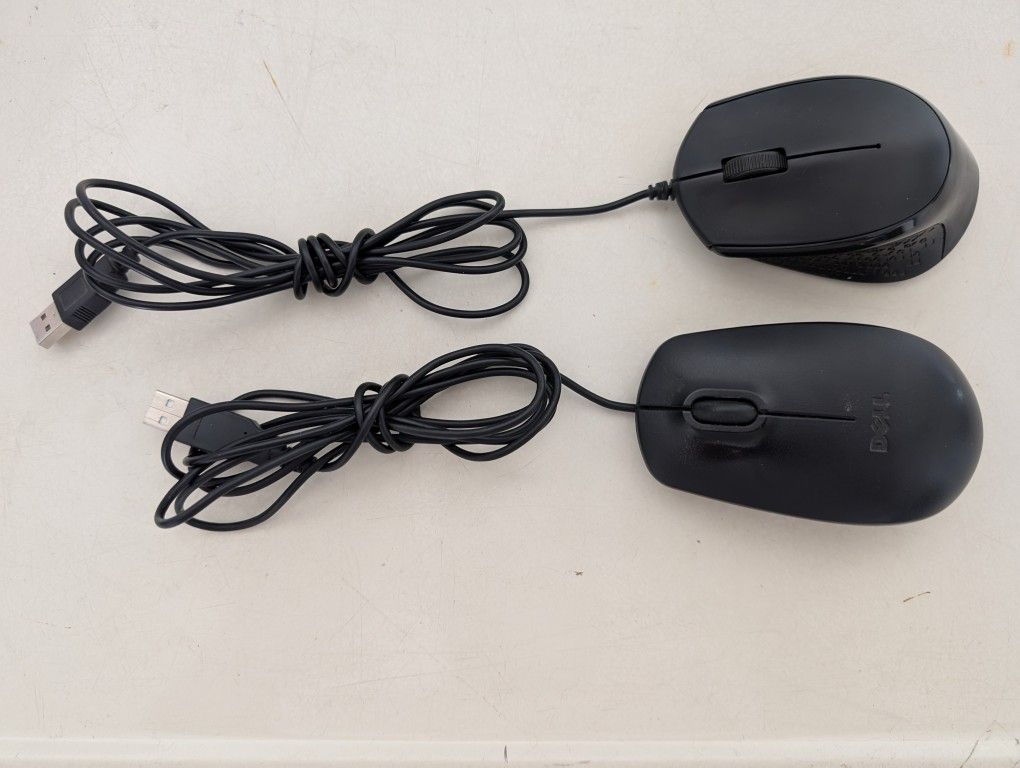 Computer Mouse