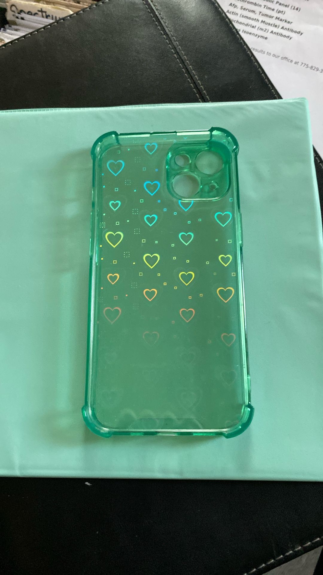 iPhone 13 Back Cover