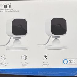 Blink Security Cameras 
