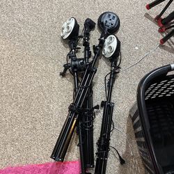 Tripod Lights