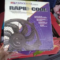 Rapid Cool Electric Fan