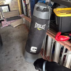 Everlast Boxing Bag 