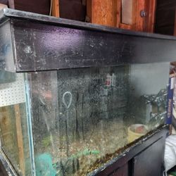 Aquarium 125 Gals Stand Canopy 