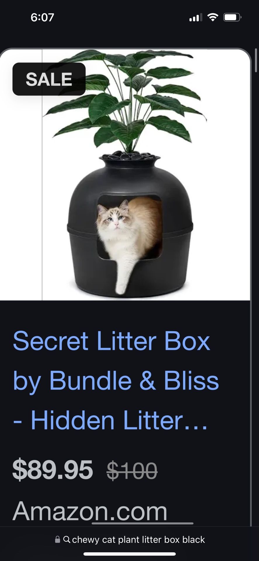 Cat Litter Box Plant