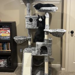 65” Tall Cat Tree 