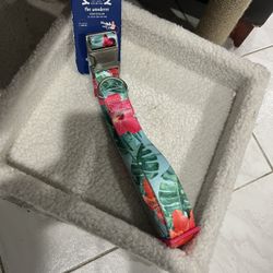 Dog Collars Different Sizes And Colors 