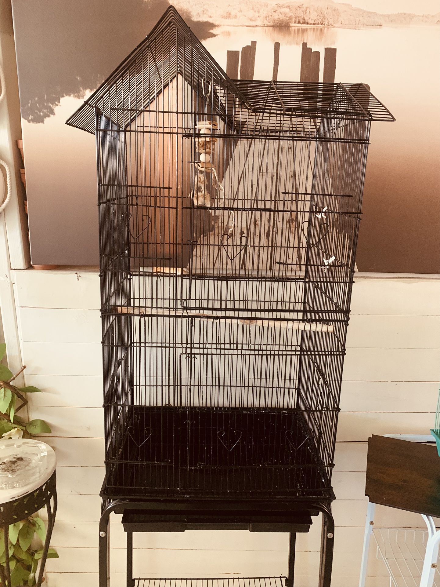 Bird Cage
