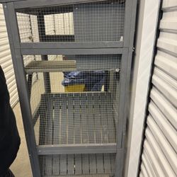 Cat House