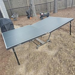 Ping Pong Table