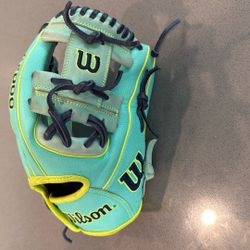 Wilson 2000 Baseball Glove H Net. 