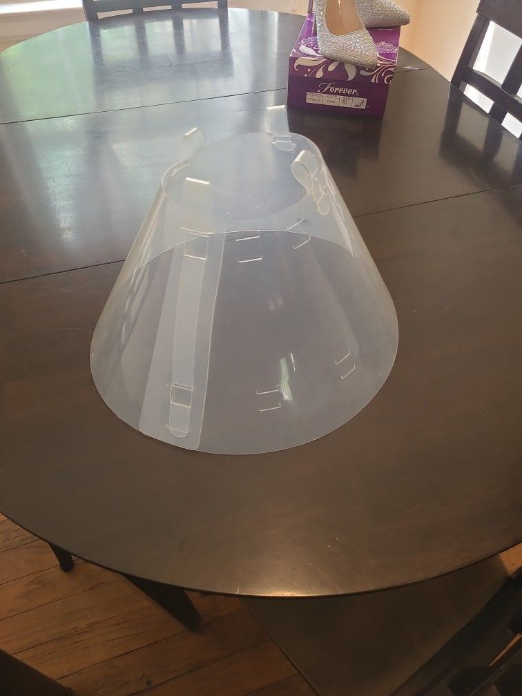 Dog Cone 