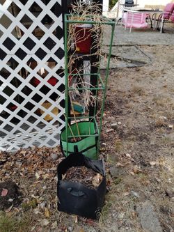 Tomato Cage with Fabric Grow Bags