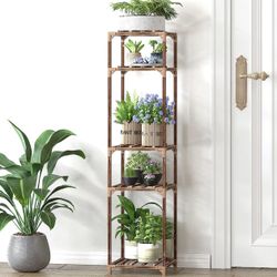 pothos plant money plant Pothos Neon | Houseplants