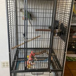 Bird Cage