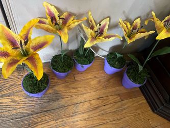 Centerpieces (5)