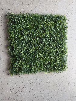 Decorating wall green grass