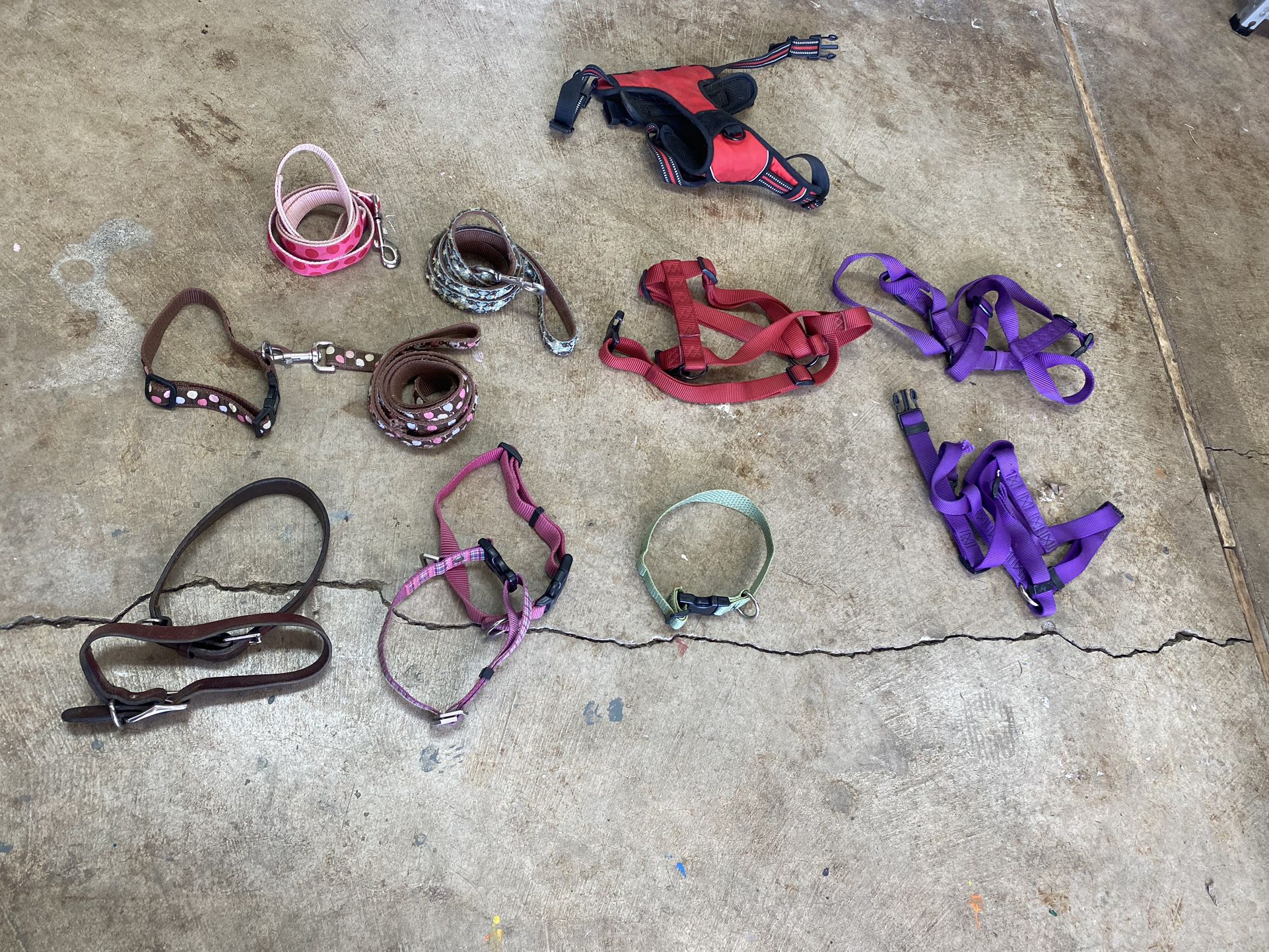 DogLeashes, Harnesses And Collars 