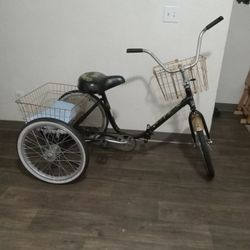 Adult Tricycle (Best Offer)