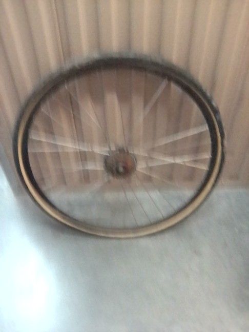 Bicycle Rim w/ Tire