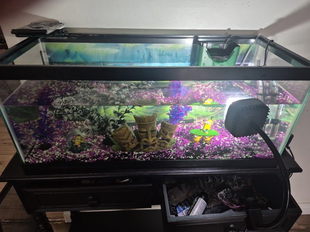 30 Gallon Fish Tank