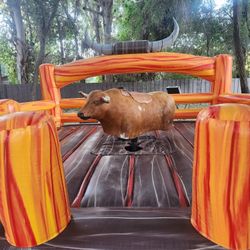 MECHANICAL BULL 