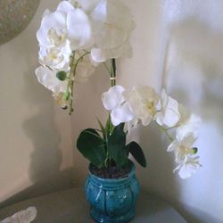 Fake Orchid 2 Ft High In Teal Blue Ceramic Pot