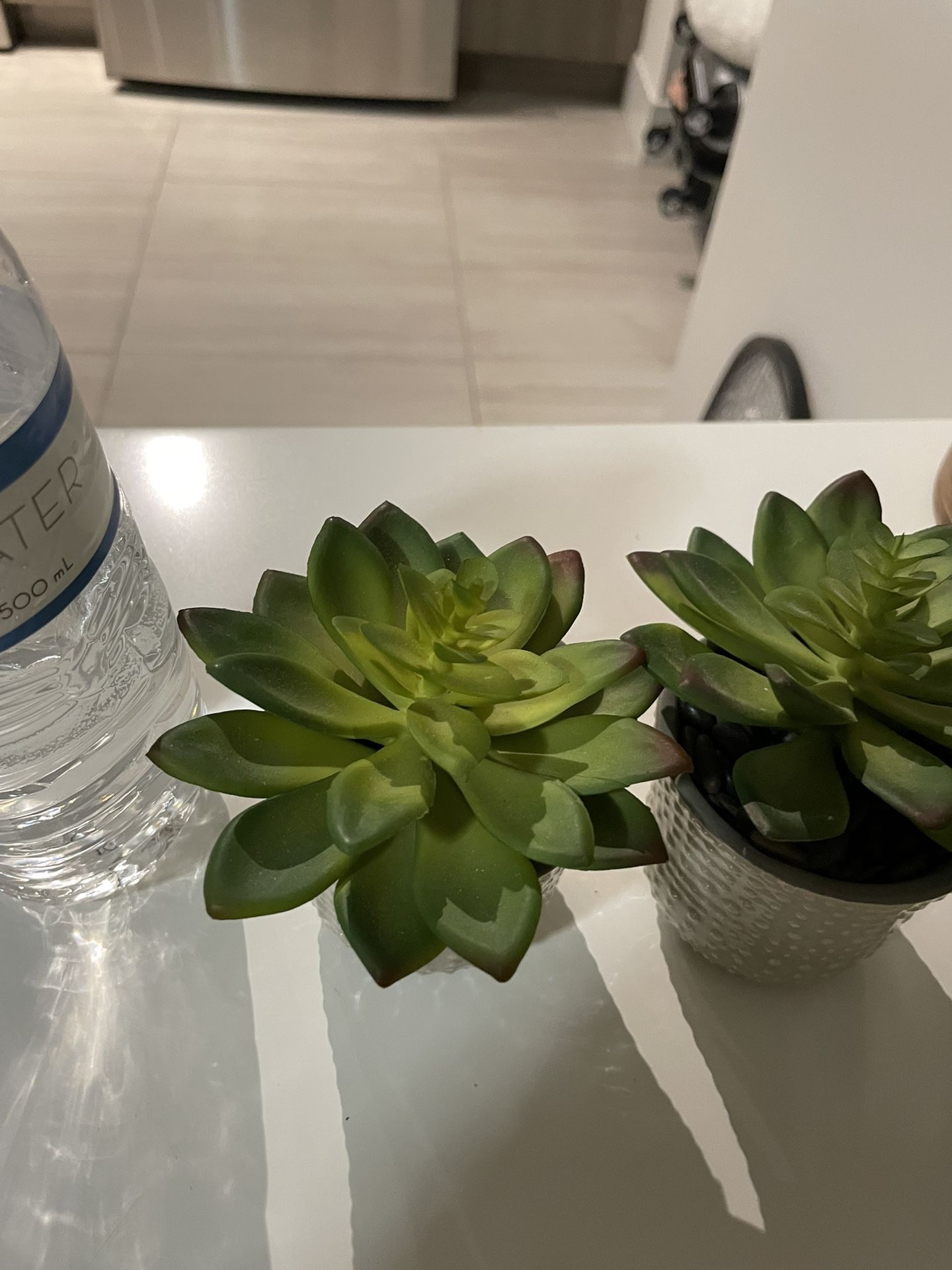 Fake Succulents
