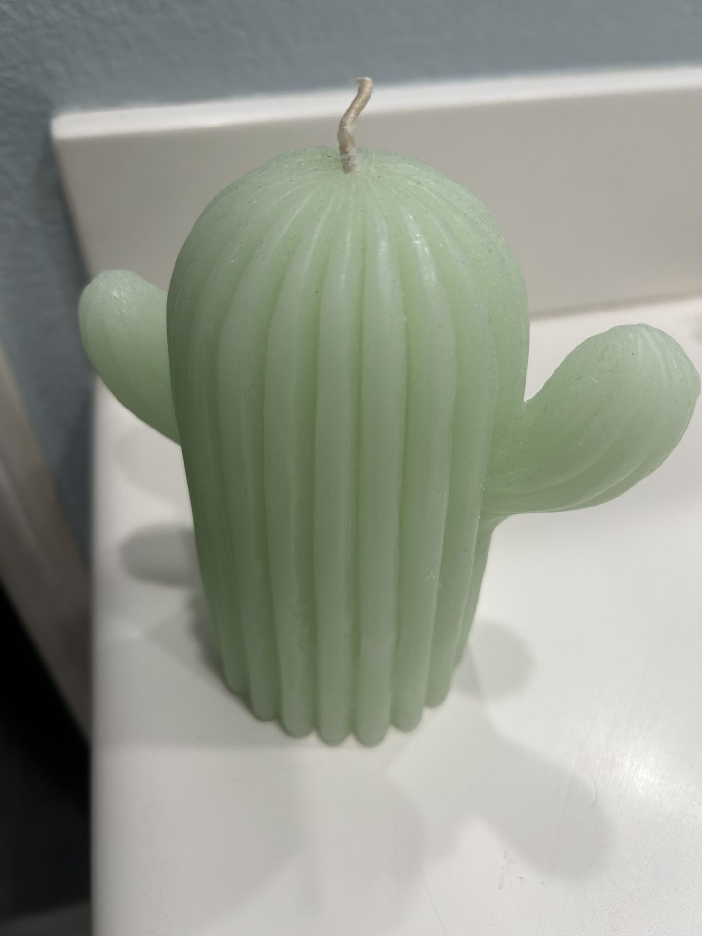 Cactus Candle