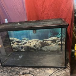 Tank Need Gone 