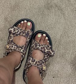 Kurt Geiger