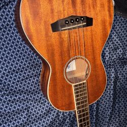 Acoustic mini bass