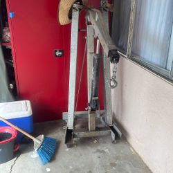 Gato Para Motores 