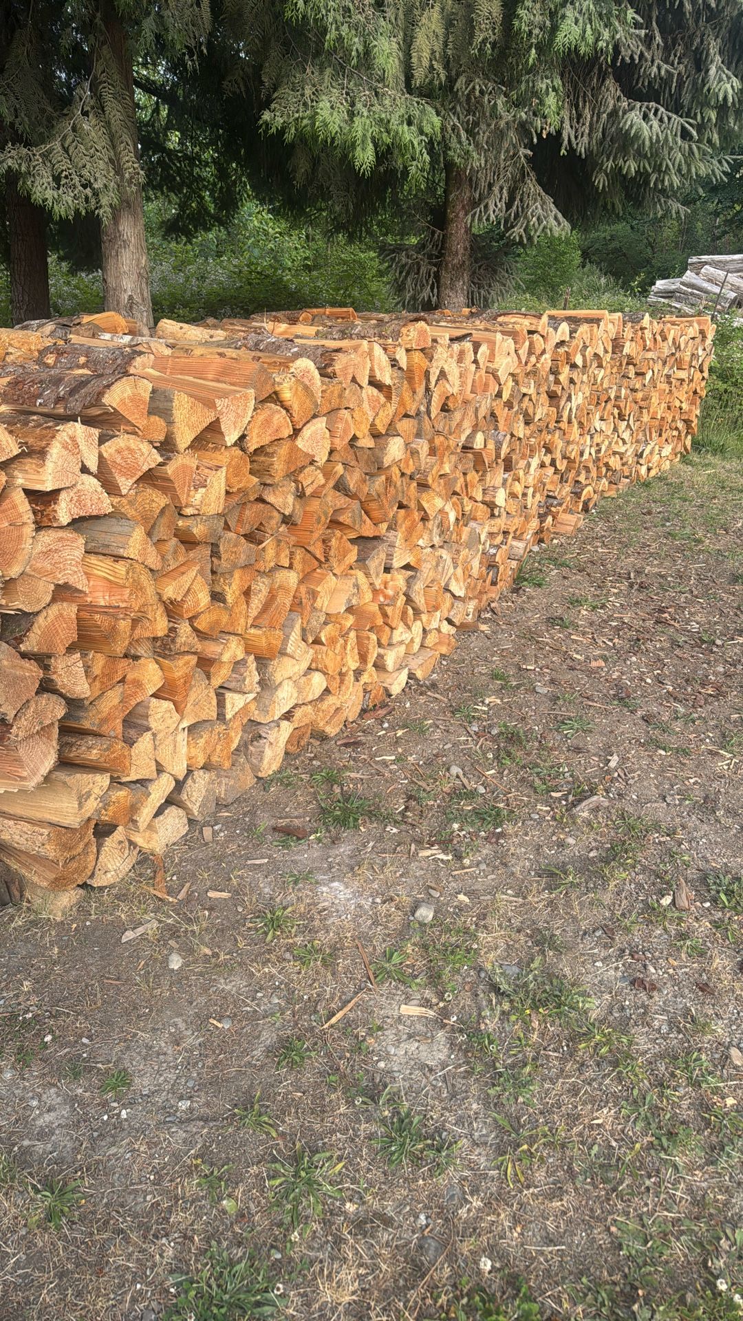 Dry Firewood