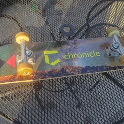 New Skateboard  Spitfire Wheels 55cm Bullet