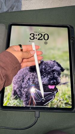 Ipad  pro 3rd generation