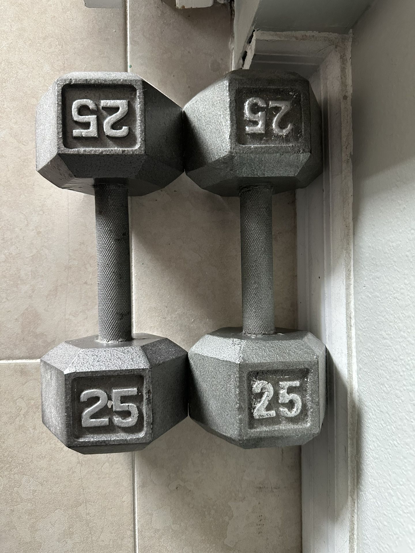 25lb Barbell Pair