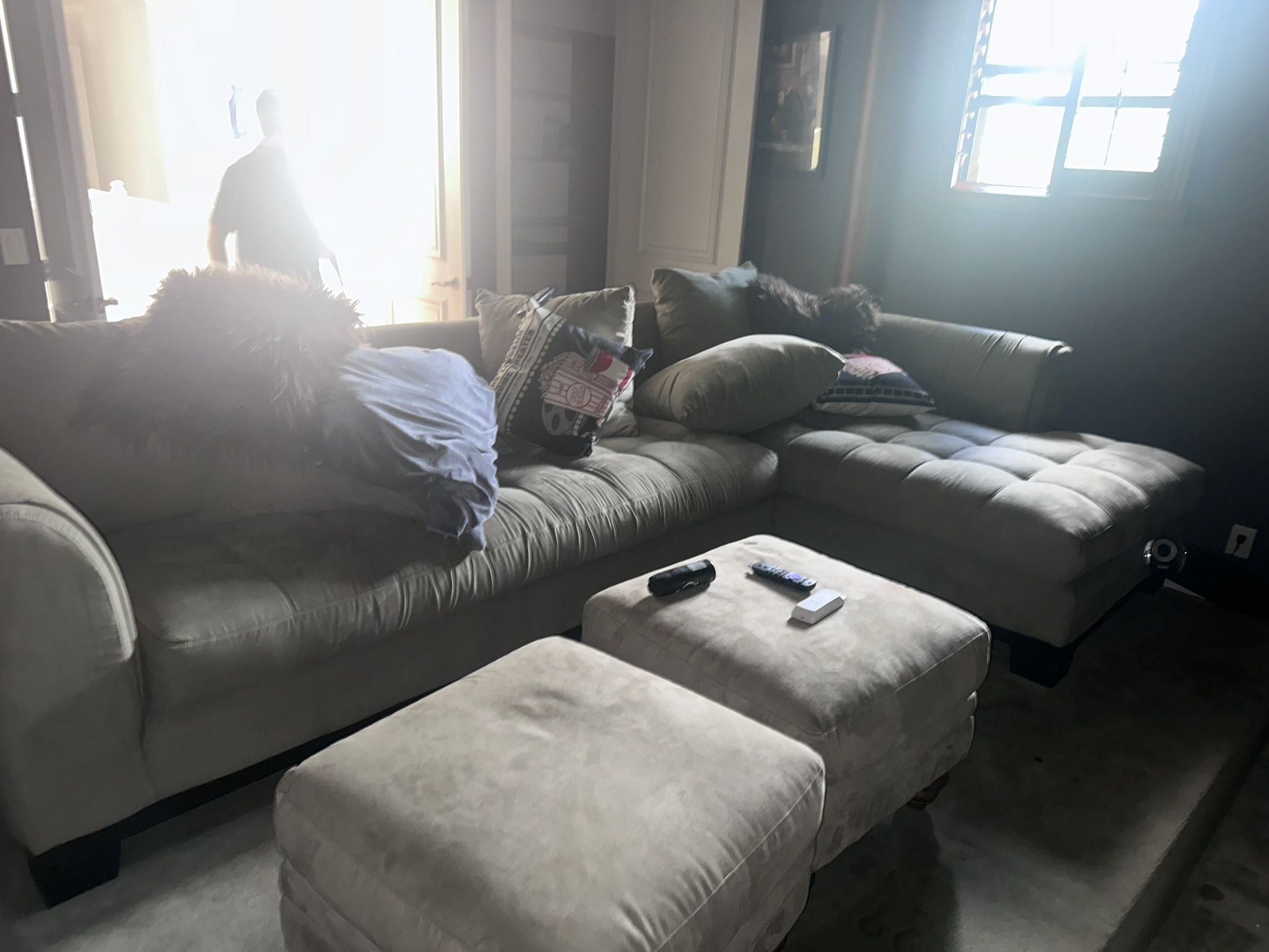 2 Couches For Sale