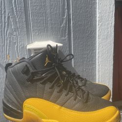 Jordan Retro 12  