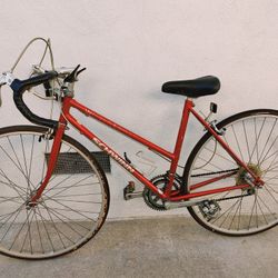 1984 Schwinn World Sport Touring Road Bike 54cm Small Lugged Steel