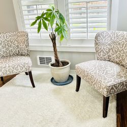 Accent Chairs by Madison Park