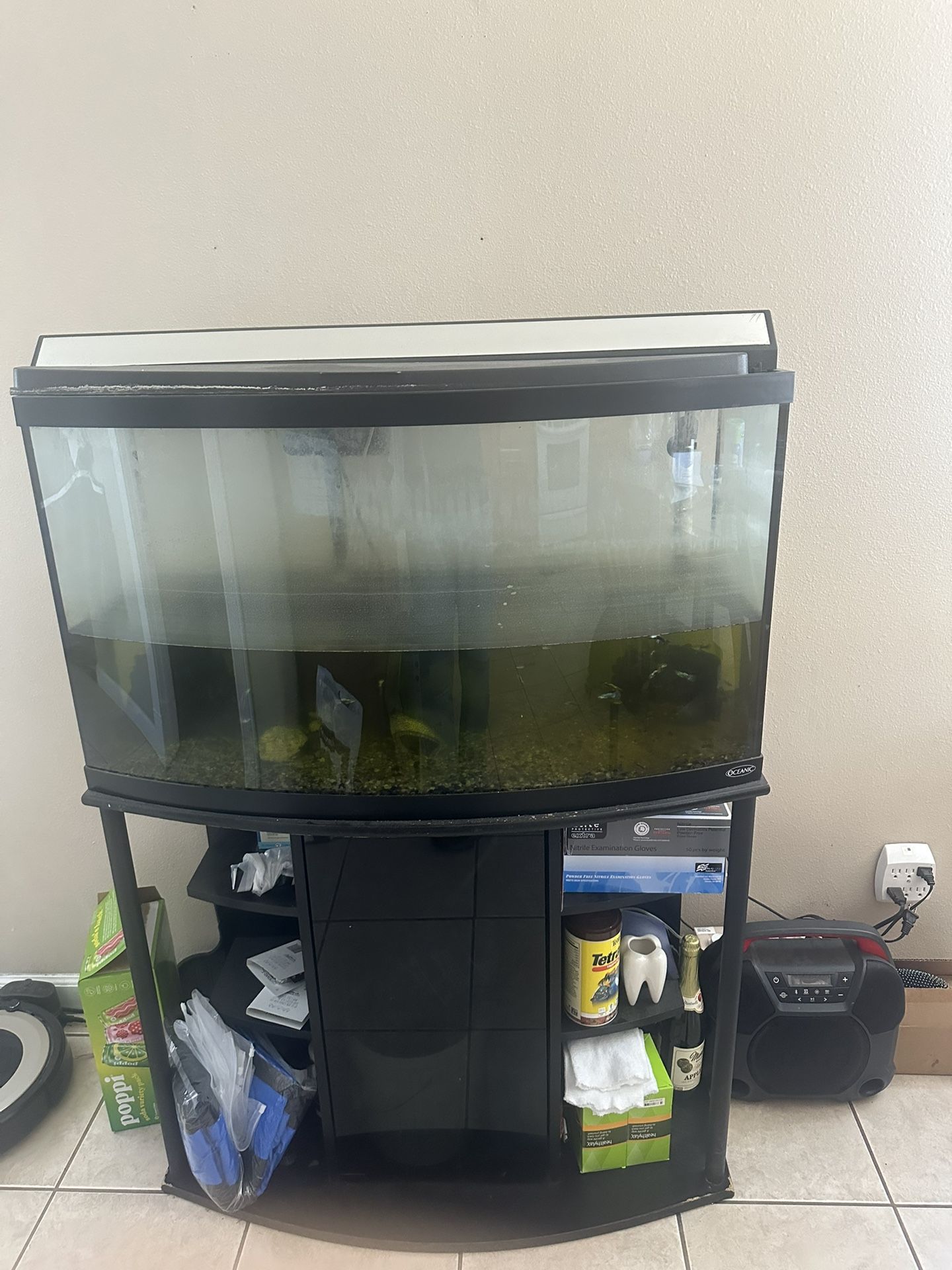 Big Fish Tank For Free