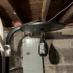 everlast punching bag with speed bag attached