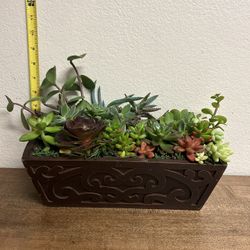 Succulent Plant Arrangement Mother’s Day Gift