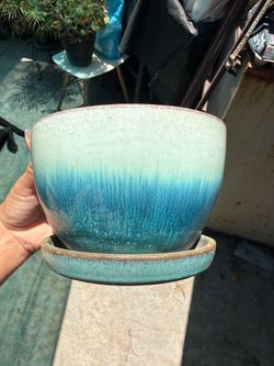 Pot for plant