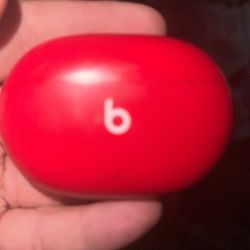 Beats Studio Buds CASE!