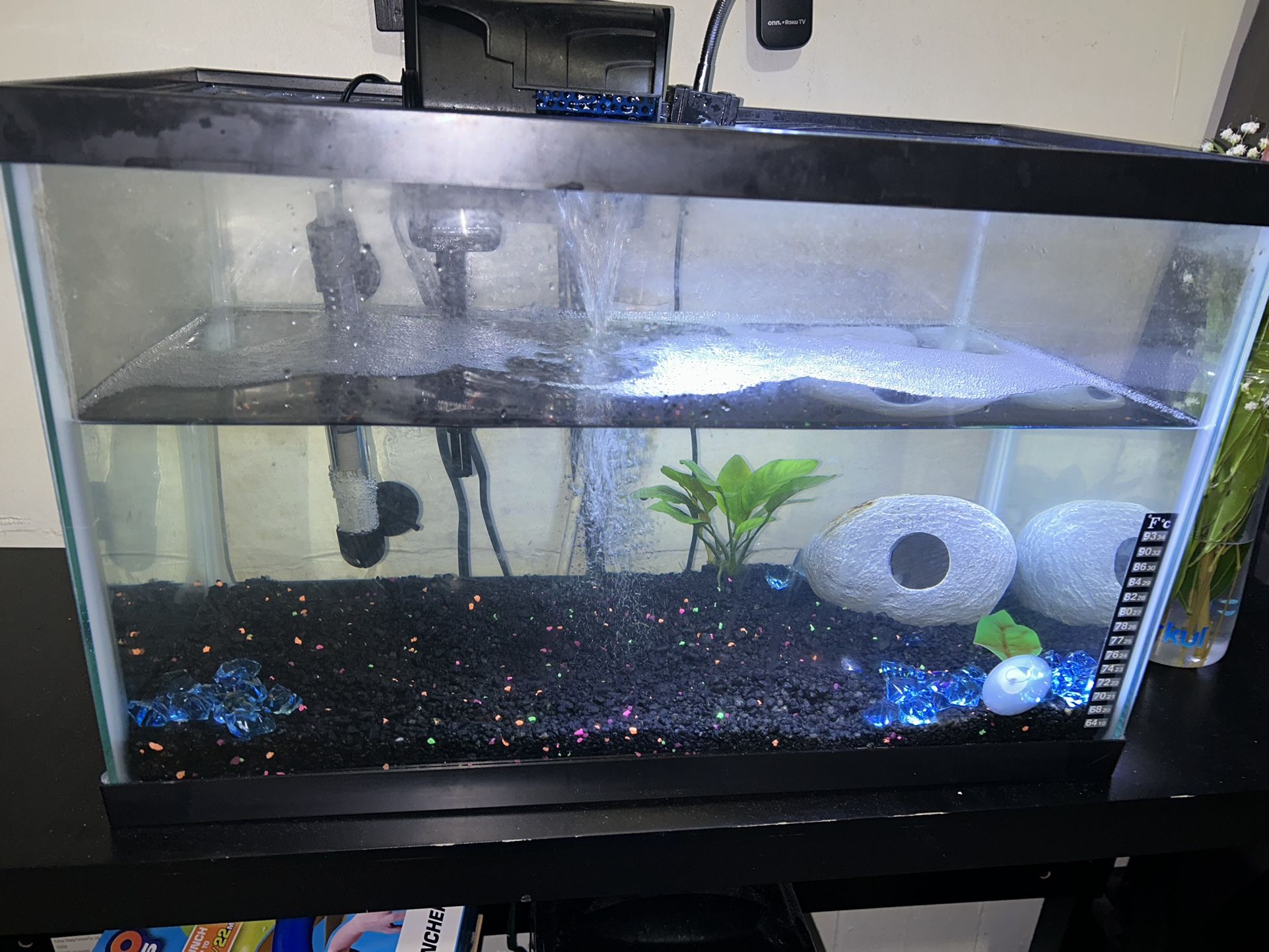 Fish Tank