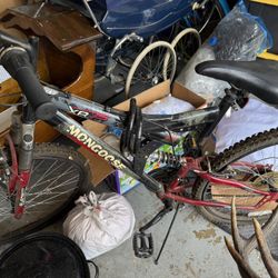 Mongoose Bike
