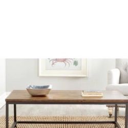 SAFAVIEH Alec 48 in. Brown Large Rectangle Wood Coffee Table