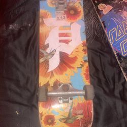 Sunflower Skateboard 