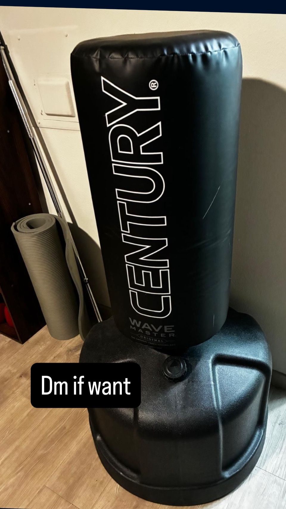 Training Punching Bag